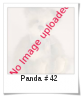 Image of Panda # 42