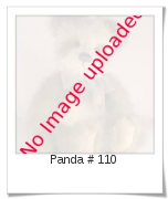 Image of Panda # 110