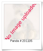 Image of Panda # 201105
