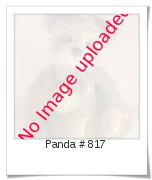 Image of Panda # 817