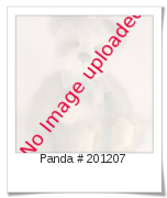 Image of Panda # 201207