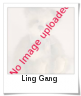 Image of Ling Gang